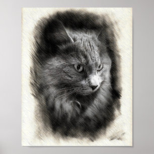 Affiche Dessin de chat gris duveteux - Art de portrait fél