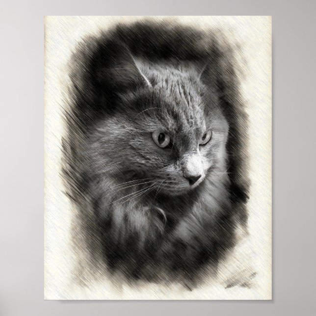 Affiche Dessin de chat gris duveteux - Art de portrait fél (Devant)