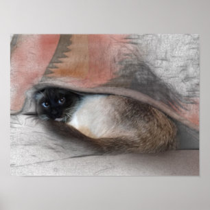 Affiche Dessin de chaton siamois mignon sous une couvertur