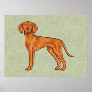 Affiche Dessin de chien pointer mignon Vizsla hongrois Ver