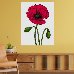 Affiche Dessin de coquelicot rouge