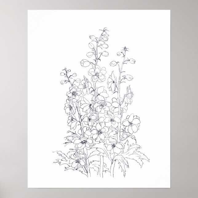 Affiche dessin de fleur de larkspur de delphinium (Devant)