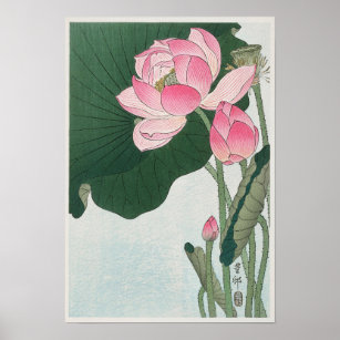 Affiche Dessin de fleurs de lotus vintages