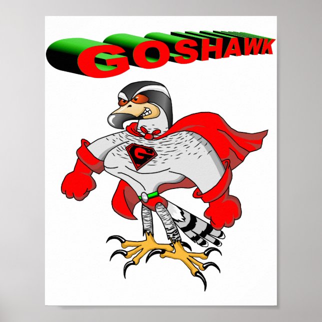 Affiche Dessin de Goshawk (Devant)