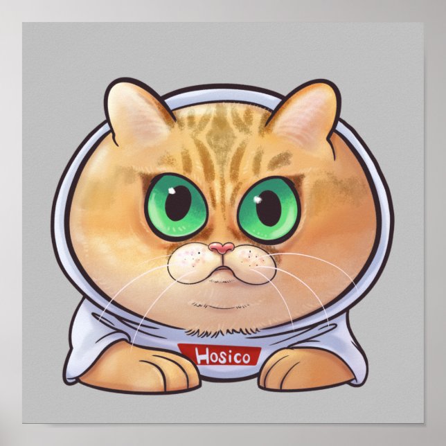 Affiche Dessin de Hosico (Devant)