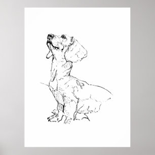 Affiche Dessin de joli teckel, parent de chien
