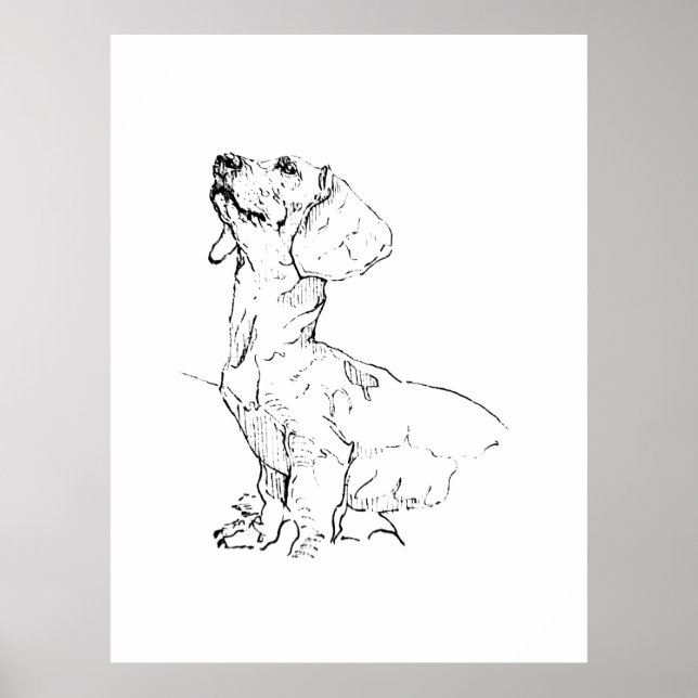 Affiche Dessin de joli teckel, parent de chien (Devant)