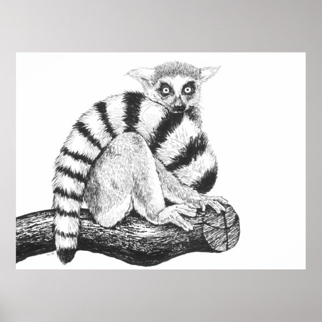Affiche Dessin de lémurien (Devant)