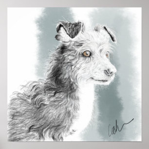 Affiche Dessin de Mickey