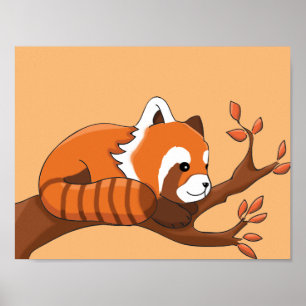 Affiche Dessin de Panda roux dans un arbre
