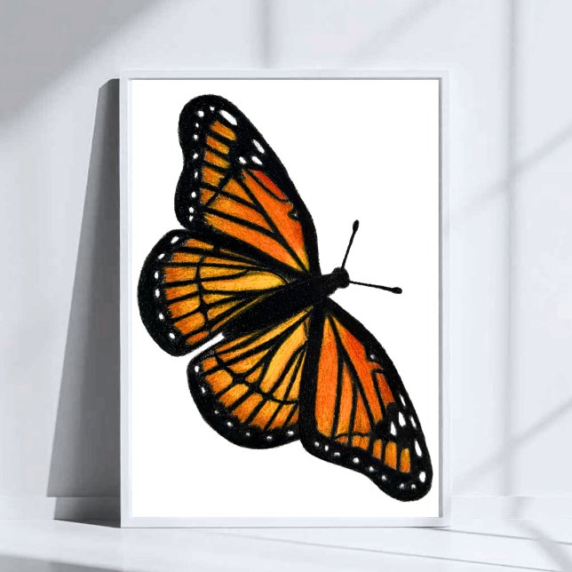 Affiche Dessin de papillon monarque au crayon de couleur (Créateur téléchargé)