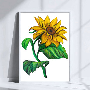 Affiche Dessin de tournesol jaune à l'aide de crayons de c
