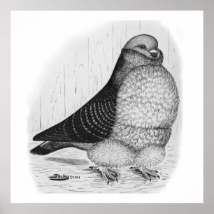 Affiche Dessin d'encre de chou chinois