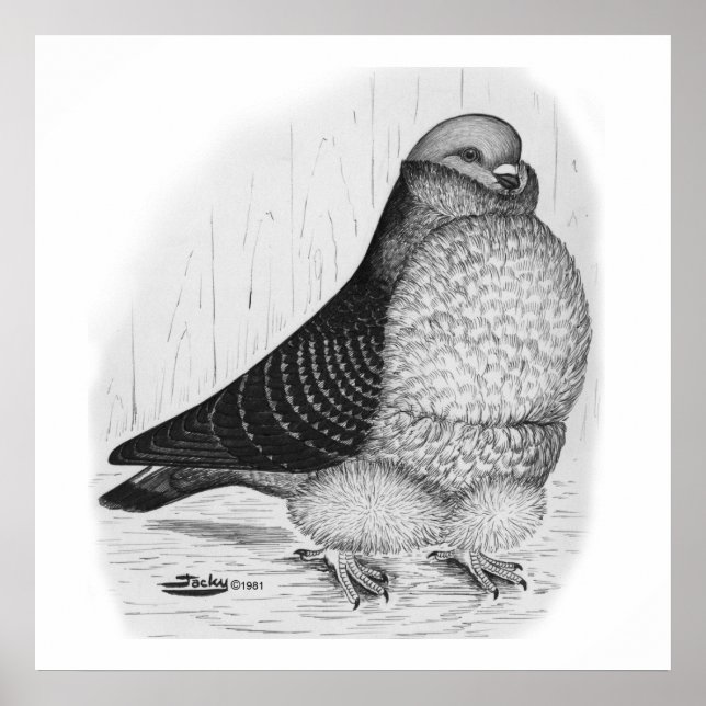 Affiche Dessin d'encre de chou chinois (Devant)