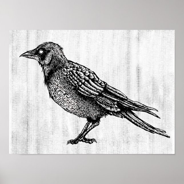 Affiche Dessin d'encre gothique noir et blanc corbeau (Devant)