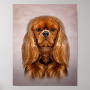 Affiche Dessin du chien Cavalier le roi Charles Spaniel