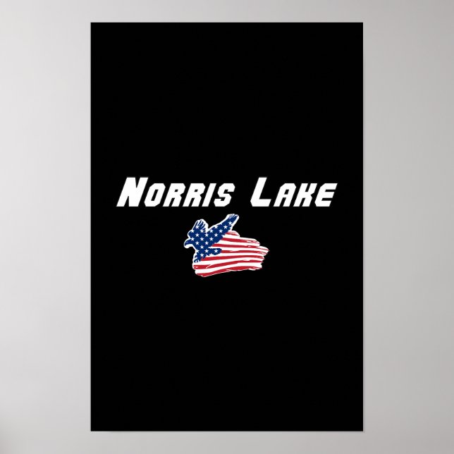 Affiche Dessin du drapeau américain aigle pour le lac Norr (Devant)
