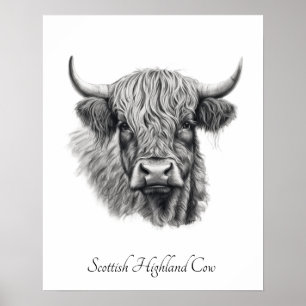 Affiche Dessin encadré de vache des Highlands écossais ave