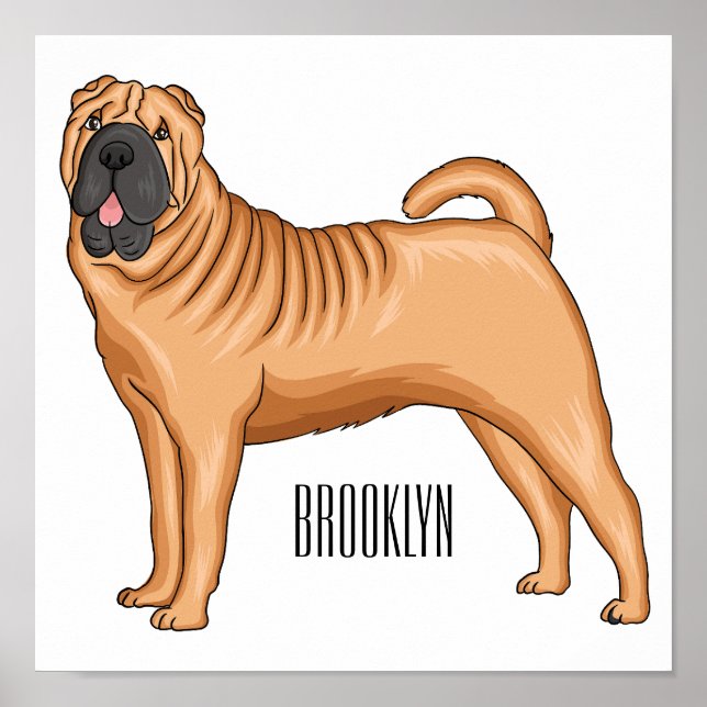 Affiche dessin humoristique chinois de chien Shar-Pei (Devant)