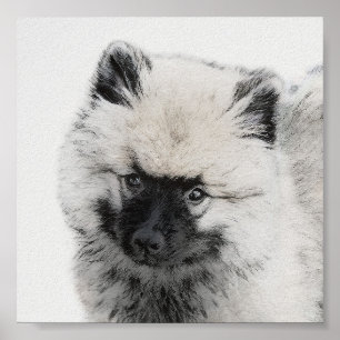 Affiche Dessin Keeshond Chiot - Joli dessin original Chien