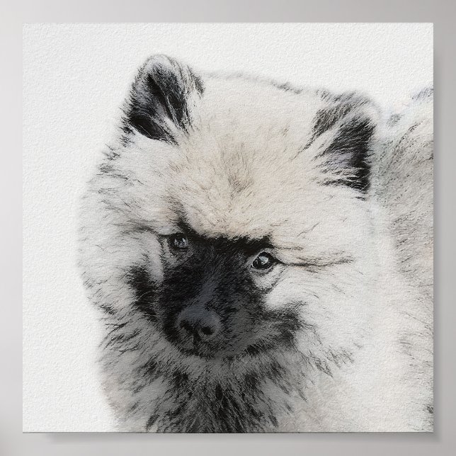 Affiche Dessin Keeshond Chiot - Joli dessin original Chien (Devant)