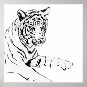 Affiche Dessin noir et blanc sur tigre