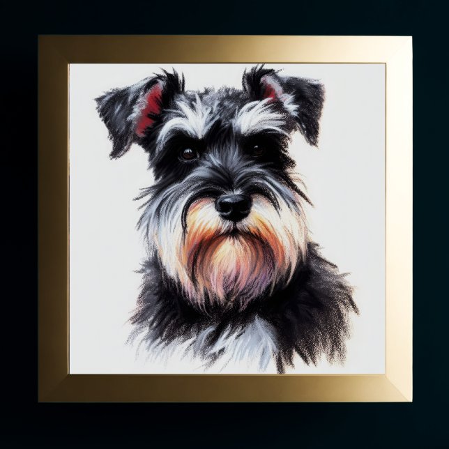 Affiche Dessin Pastel d'un Schnauzer Chien II (Créateur téléchargé)