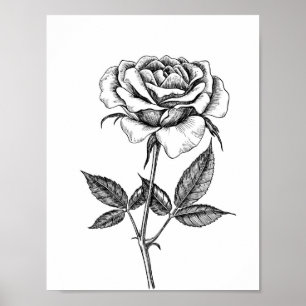 Affiche dessin rose