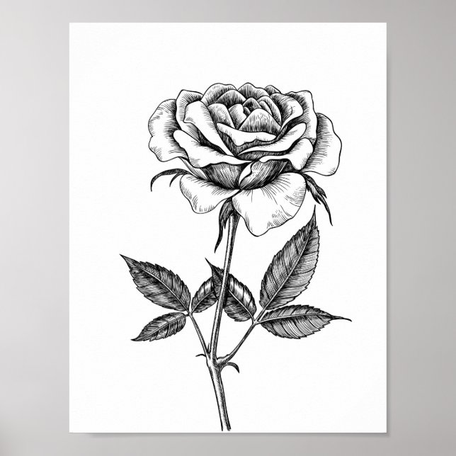 Affiche dessin rose (Devant)