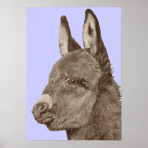 Affiche dessin semblable à la vie d'âne mignon