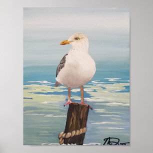 Affiche Destin Seagull