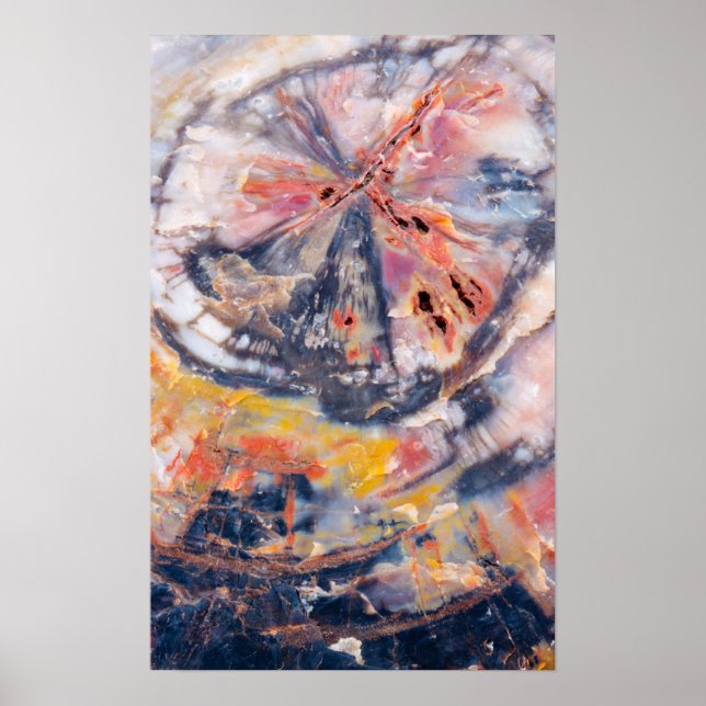 Affiche Détail de bois pétrifié, Arizona (Devant)