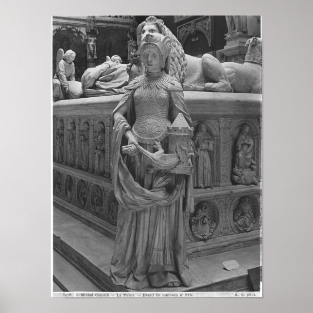 Affiche Détail de la force (Devant)