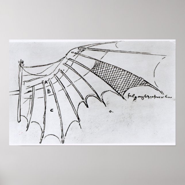 Affiche Détail d'une aile mécanique (Devant)