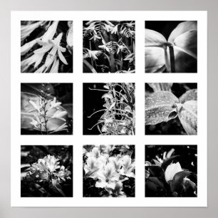 Affiche Détails de la série Nature - Fleurs 2