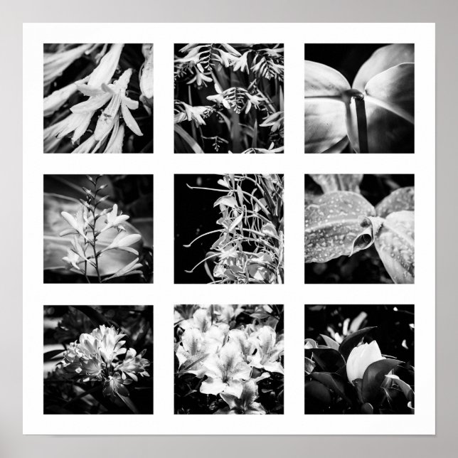 Affiche Détails de la série Nature - Fleurs 2 (Devant)