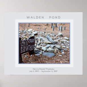 Affiche d'étang de Walden