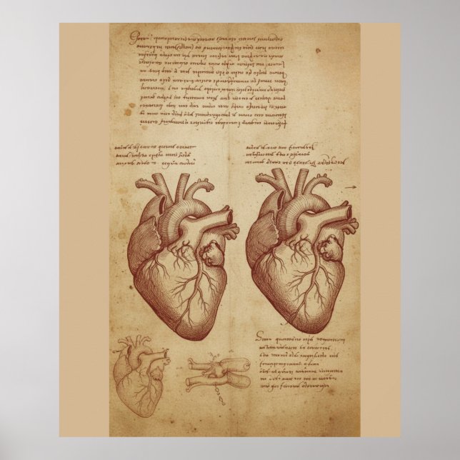 Affiche d'étude scientifique de l'anatomie du cœur (Devant)