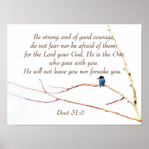 Affiche Deut 31:6 Vous n'êtes pas seul Bible Kingfisher Bi