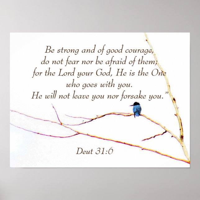 Affiche Deut 31:6 Vous n'êtes pas seul Bible Kingfisher Bi (Devant)