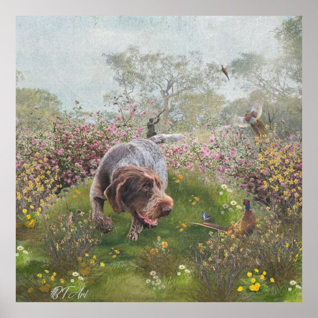 Affiche Deutsch Drahthaar (Devant)