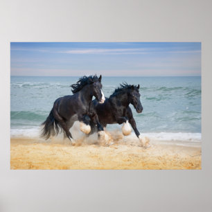 Affiche Deux Beaux Chevaux De Rivière Sur La Plage