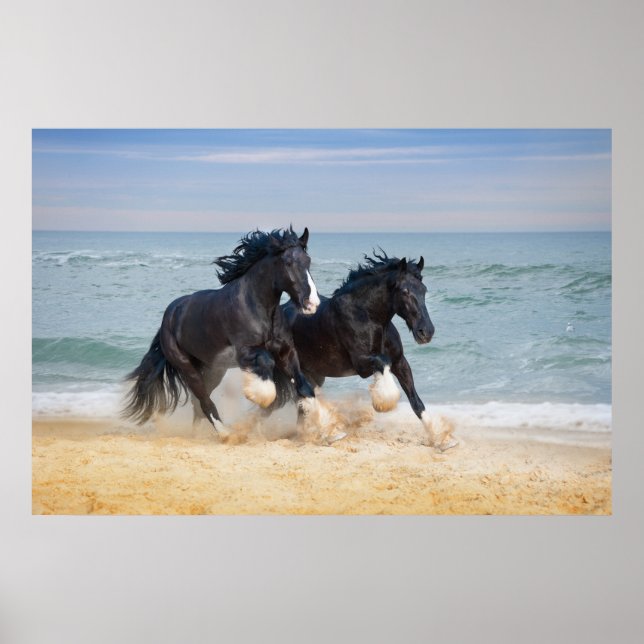 Affiche Deux Beaux Chevaux De Rivière Sur La Plage (Devant)