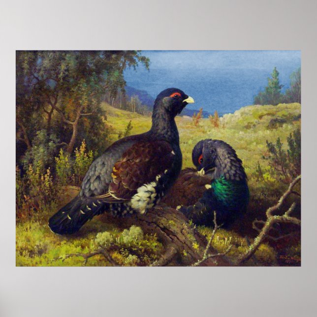 Affiche Deux beaux oiseaux (Devant)