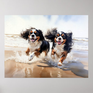 Affiche Deux Cavalier King Charles Spaniels
