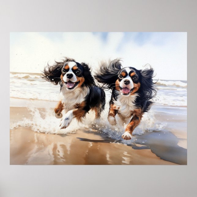 Affiche Deux Cavalier King Charles Spaniels (Devant)