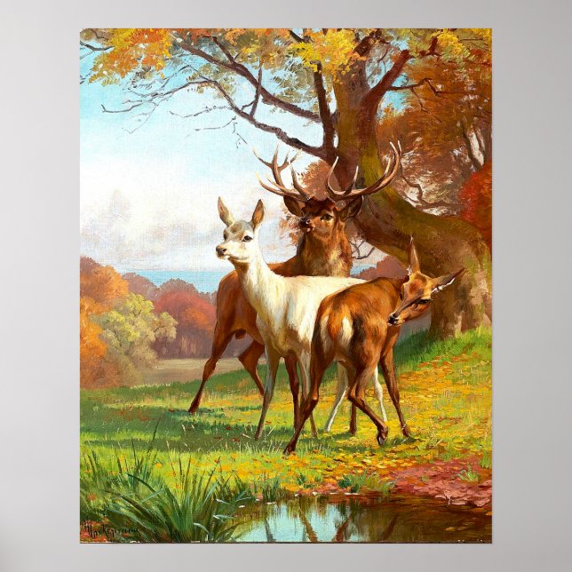 Affiche Deux Cerfs Rouges Et Blancs Dans La Forêt (Devant)