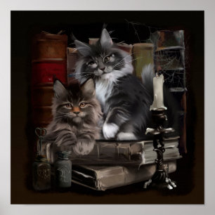 Affiche Deux chatons Maine Coon en furie