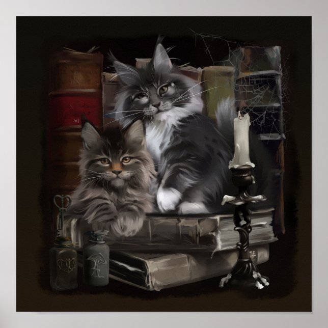 Affiche Deux chatons Maine Coon en furie (Devant)