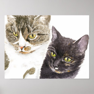 Affiche Deux chats - tabby et écaille de tortue